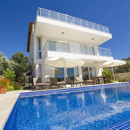 Yesil * Kalkan