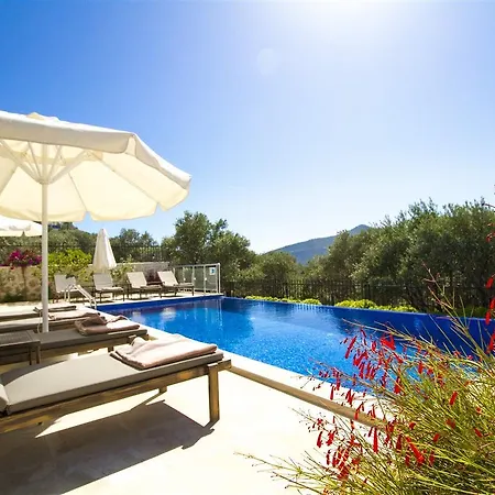 Yesil * Kalkan