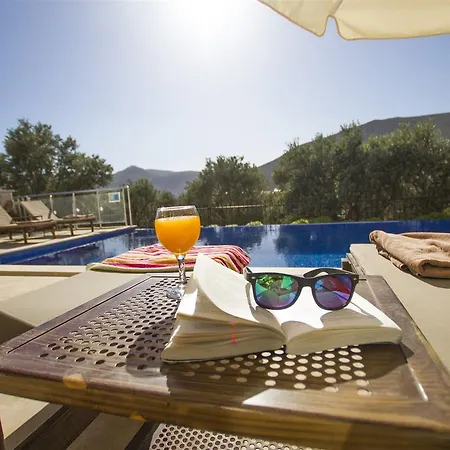 Yesil Kalkan