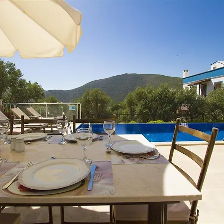 Yesil * Kalkan